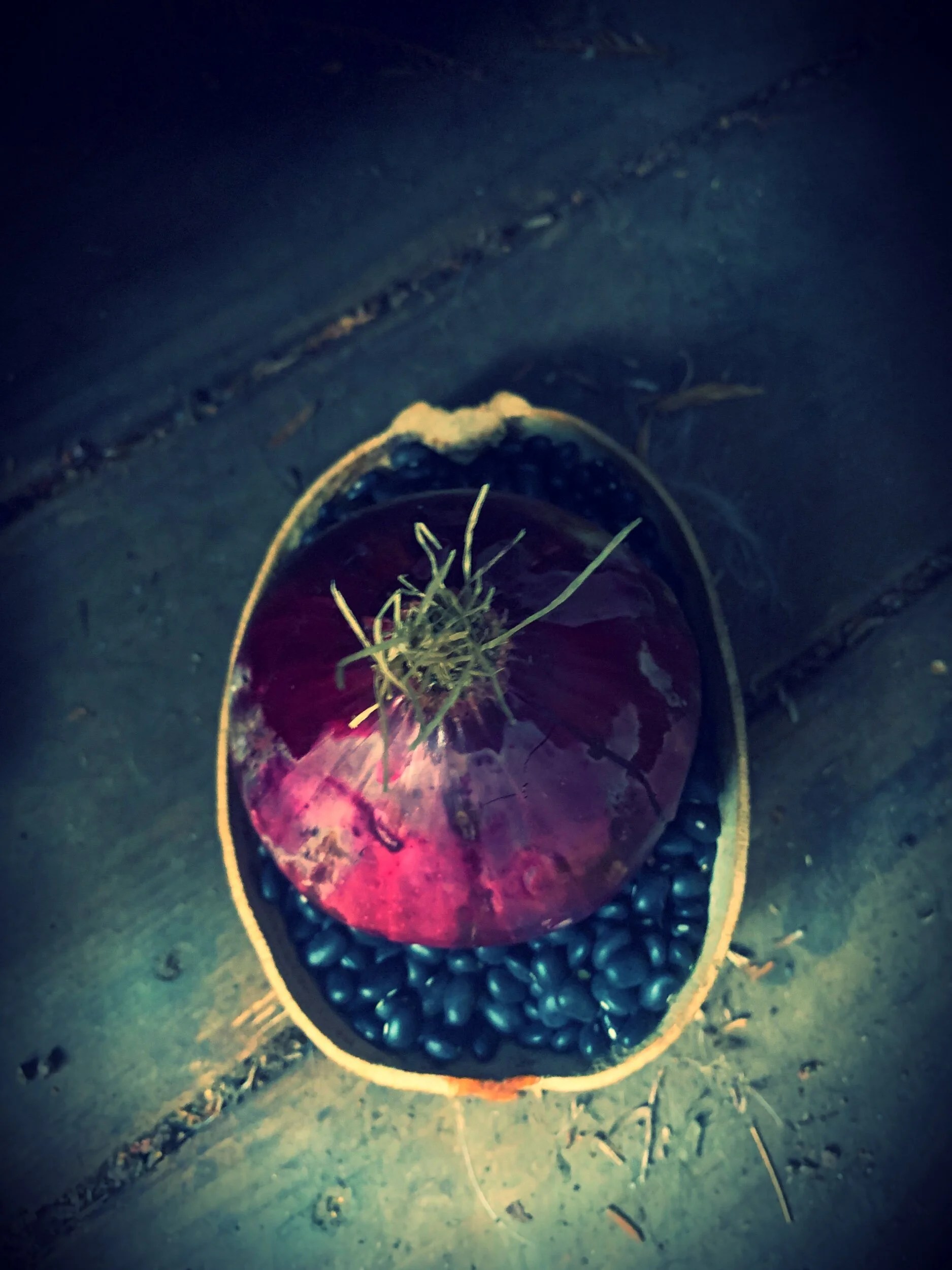  Black beans and purple onions in a Jicara.  