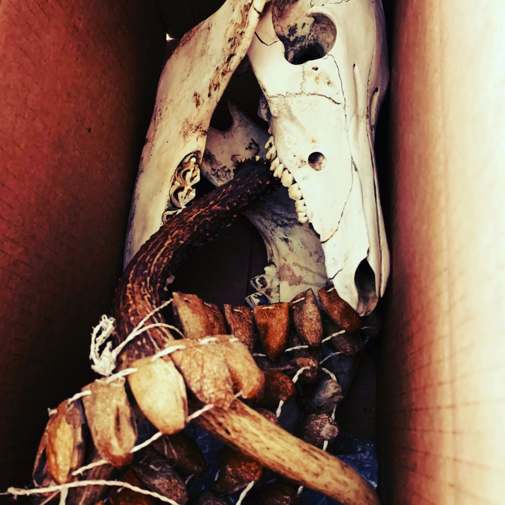 Autobiography, First Draft