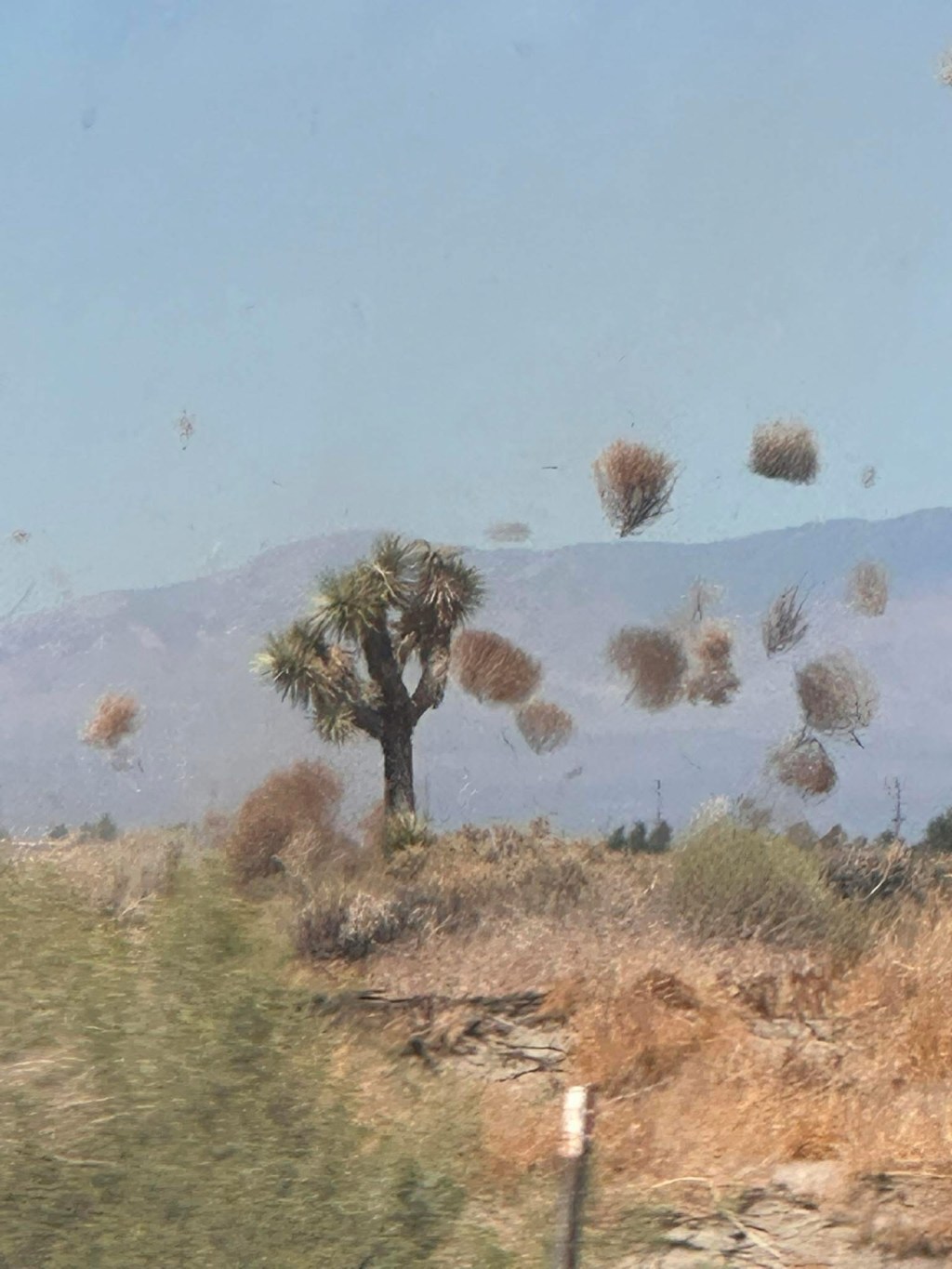 Weather Systems We&nbsp;Choose