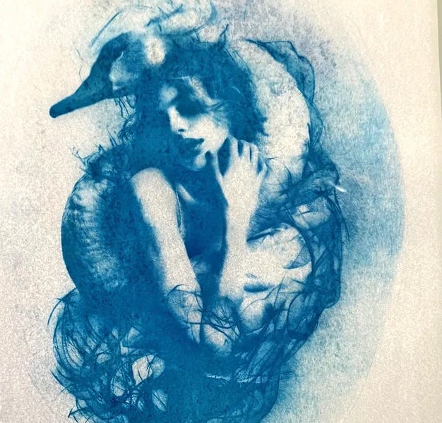 Apple-Soft Under the&nbsp;Animal