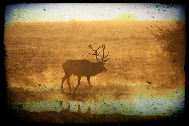 Notes from the Kitchen&nbsp;Floor