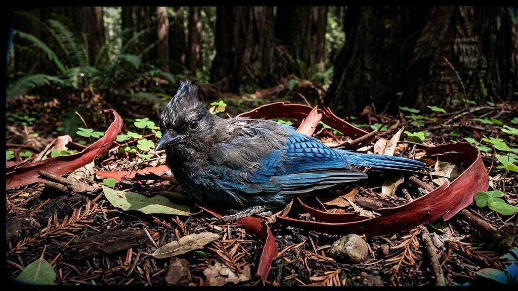 Divination Log #13:&nbsp;Disintegration