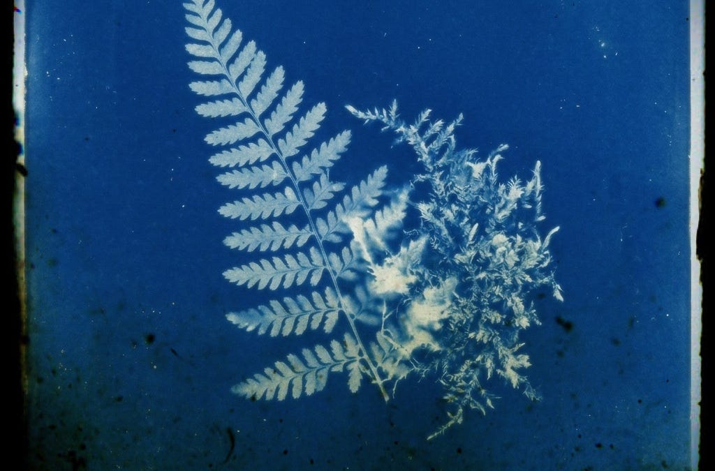 The North Side of&nbsp;Everything