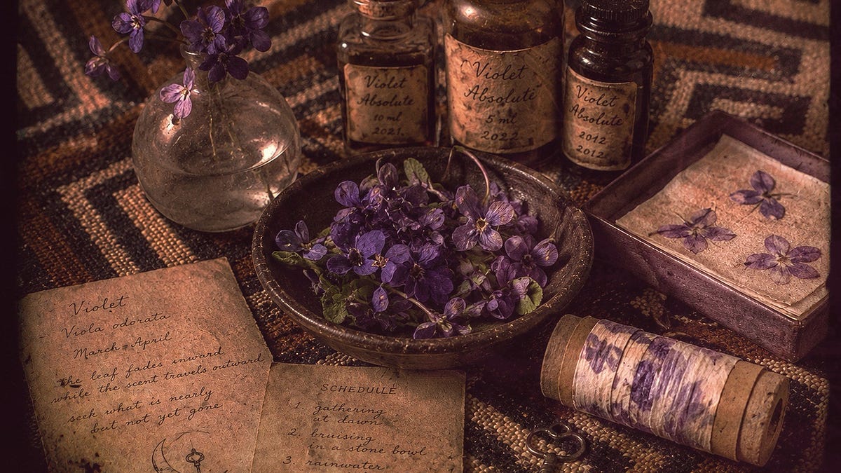 Daemonic Series /&nbsp;Violet
